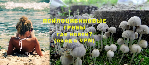 хмурый Богородск