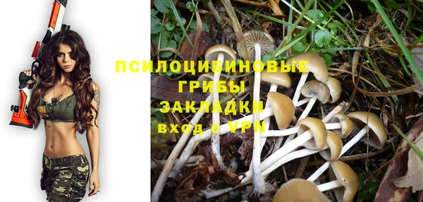 экстази Богданович