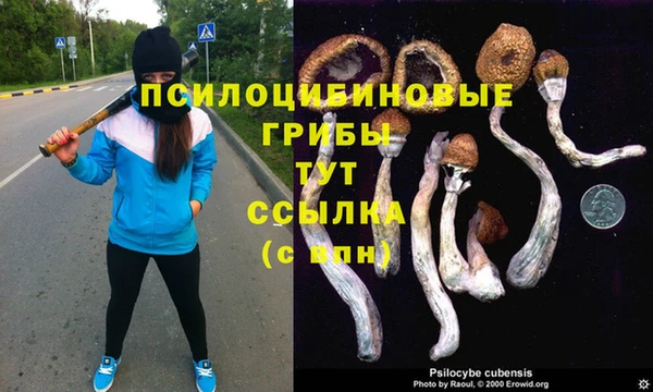 прущая мука Белокуриха